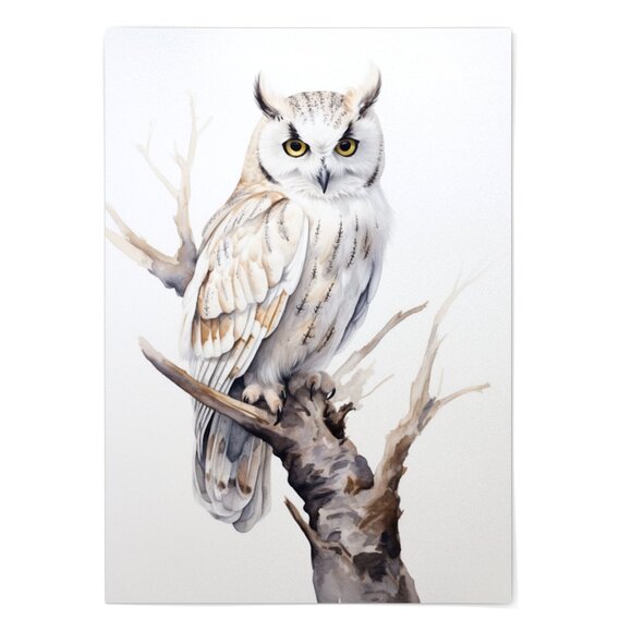Watercolor White Owl Portrait Wall Art Illustration Print Poster Unframed - Picture 2 of 6